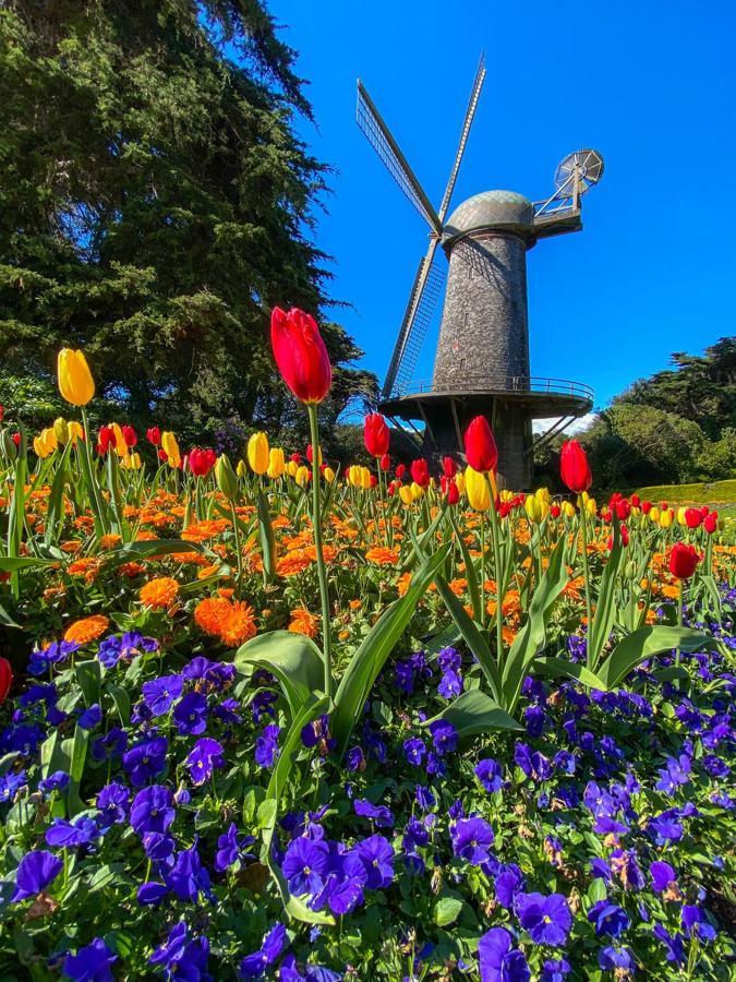 Golden Gate Park Suite San Francisco Exterior photo