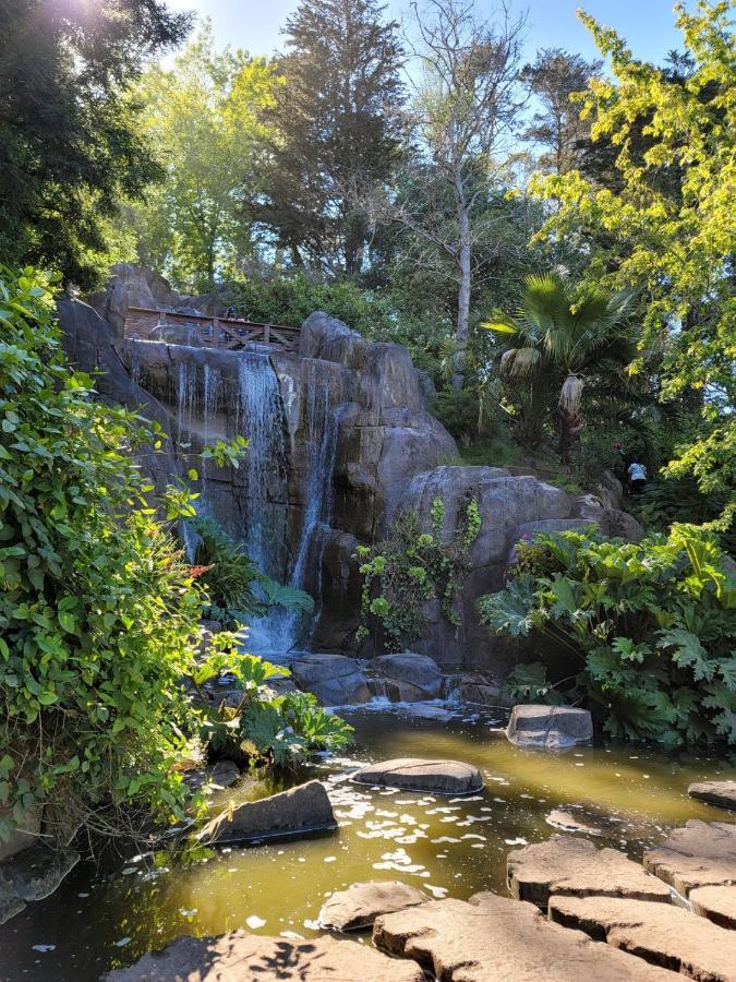 Golden Gate Park Suite San Francisco Exterior photo